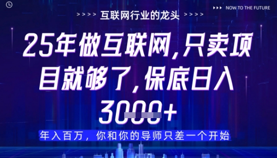 什么！25年你还在找项目做？风口早就变了，卖项目才是稳挣不赔【揭秘】-宇文网创
