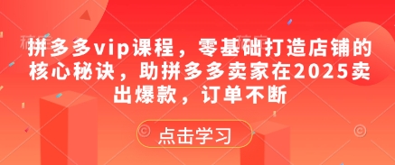 拼多多vip课程，零基础打造店铺的核心秘诀，助拼多多卖家在2025卖出爆款，订单不断-宇文网创
