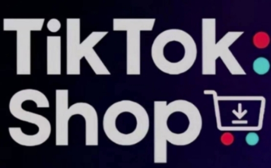 TikTokShop跨境电商0-1实战，手把手教你低成本启动海外市场（更新）-宇文网创