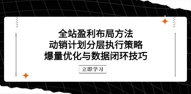全站盈利布局方法：动销计划分层执行策略，爆量优化与数据闭环技巧-宇文网创