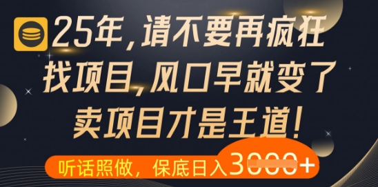 什么？25年你还在疯狂找项目做，醒醒吧，看完这些你全都懂了【揭秘】-宇文网创