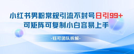 小红书男粉常规引流不封号日引99+变现简单 可矩阵可复制小白容易上手-宇文网创