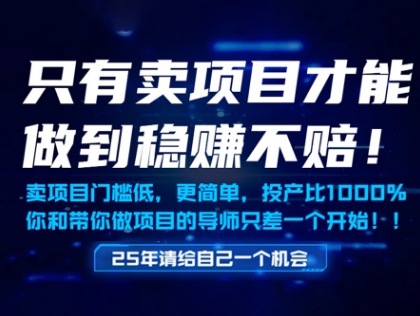 只有卖项目才能做到稳挣不赔，门槛低，更简单，你也可以年入百个W【揭秘】-宇文网创