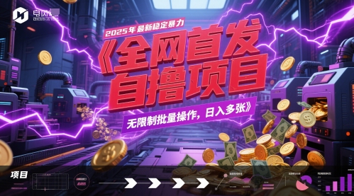 全网首发，2025年最新稳定暴力全自动自撸项目，无限制批量操作，日入多张【揭秘】-宇文网创