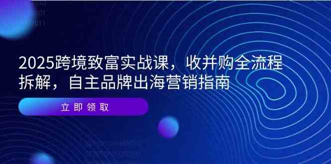 2025跨境致富实战课，收并购全流程拆解，自主品牌出海营销指南-宇文网创