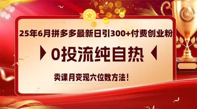 25年6月拼多多最新日引300+付费创业粉，0投流纯自热 卖课月变现六位数方法-宇文网创