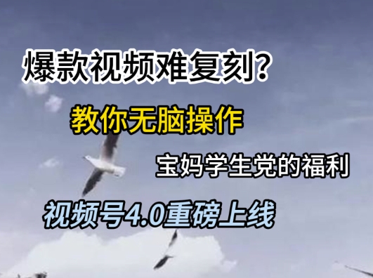 视频号4.0重磅上线，爆款视频难复刻？教你无脑操作宝妈学生党的福利【揭秘】-宇文网创