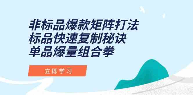非标品爆款矩阵打法，标品快速复制秘诀，单品爆量组合拳-宇文网创