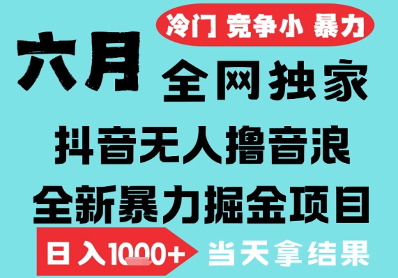 2025年6月高爆抖音无人直播最新撸音浪掘金项目，无脑日入1k+，低门槛小白可做，可矩阵放大【揭秘】-宇文网创