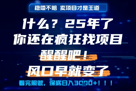 什么？25年你还在疯狂找项目做，醒醒吧，看完这些你全都懂了！【揭秘】-宇文网创