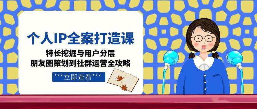个人IP全案打造课，特长挖掘与用户分层，朋友圈策划到社群运营全攻略-宇文网创