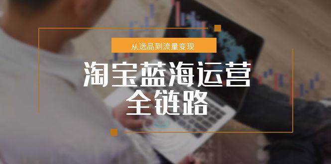 淘宝蓝海运营全链路，从选品到流量变现，小类目突围完整方案-宇文网创