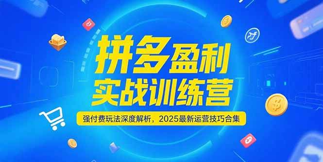 拼多多盈利实战训练营，强付费玩法深度解析，2025最新运营技巧合集-宇文网创
