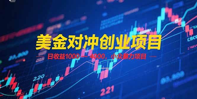 美金对冲创业项目，日收益 1000 – 4000，小众暴力项目-宇文网创