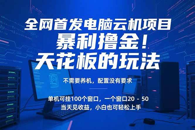 电脑云机项目 暴力撸金玩法，不需要养机 配置没有要求 单机100个窗口一…-宇文网创