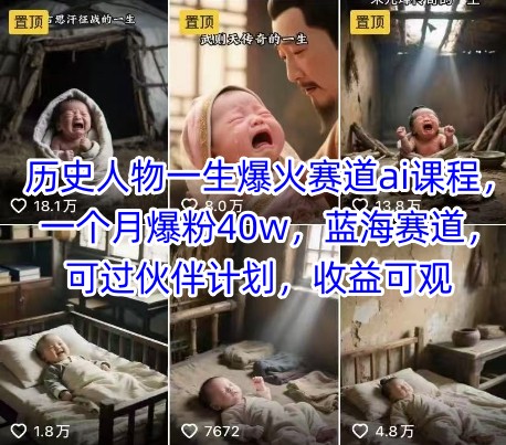 历史人物一生爆火赛道ai课程，一个月爆粉40w，蓝海赛道，可过伙伴计划，收益可观-宇文网创