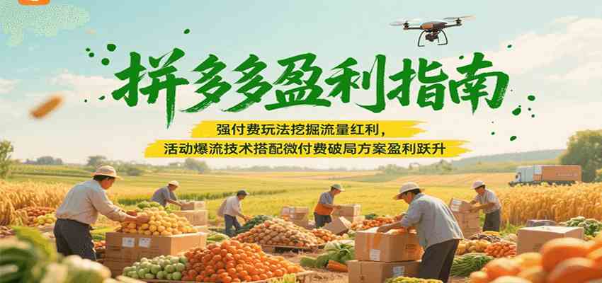拼多多盈利指南：强付费玩法挖掘流量红利，活动爆流技术搭配微付费方案实现盈利跃升-宇文网创