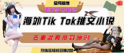 海外tiktok小说推文暴力项目，高停留率，高转化率，上手后一天搞顿饭钱不是问题-宇文网创