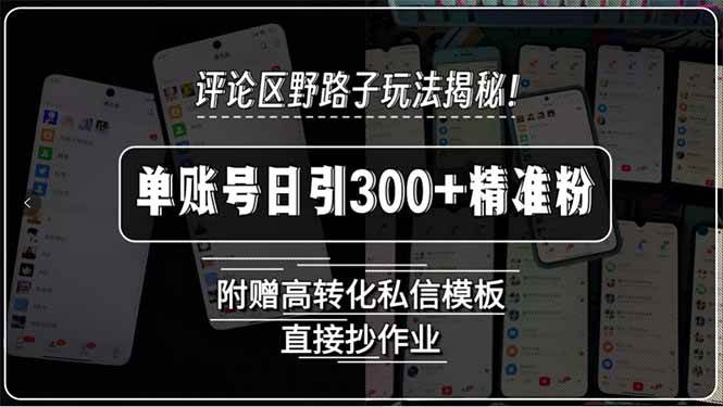 评论区野路子玩法揭秘！单账号日引300+精准粉，附赠高转化私信模板，直…-宇文网创
