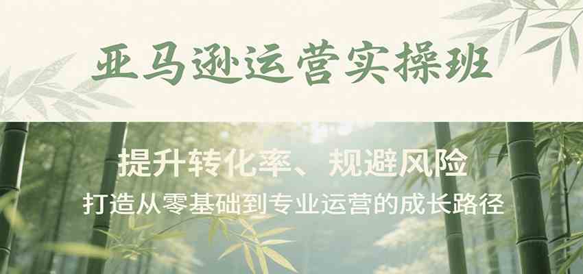 亚马逊运营实操班，提升转化率、规避风险，打造从零基础到专业运营的成长路径-宇文网创