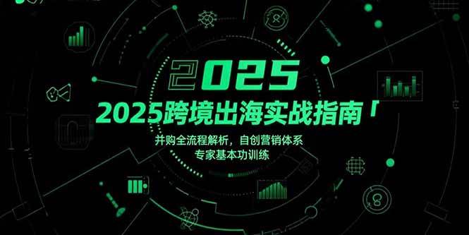 2025跨境出海实战指南，并购全流程解析，自创营销体系，专家基本功训练-宇文网创