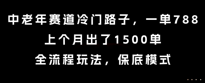 中老年赛道冷门路子，一单788，上个月出了1500单，全流程玩法，保底模式【揭秘】-宇文网创