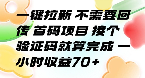 一键拉新 不需要回传 首码项目 接个验证码就算完成 一小时收益70+【揭秘】-宇文网创