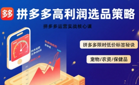 拼多多选品暴利技术实战课，拼多多高利润选品策略，拼多多限时低价标签秘诀-宇文网创