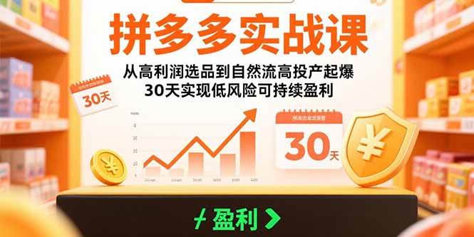 拼多多实战课：从高利润选品到自然流高投产起爆 30天实现低风险可持续盈利-宇文网创