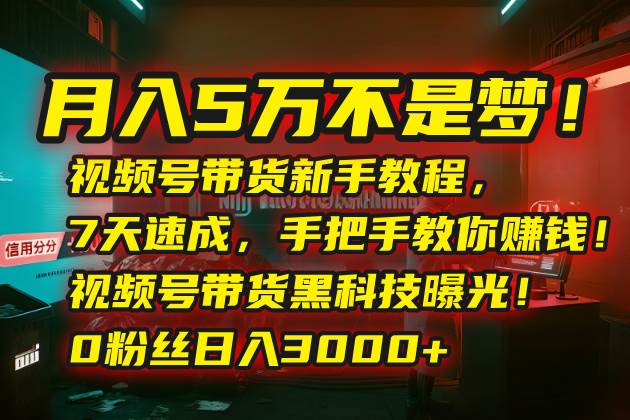 月入5万不是梦！视频号带货新手教程，7天速成，手把手教你赚钱！视频号…-宇文网创