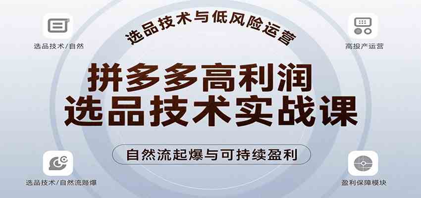 拼多多高利润选品技术实战课，手把手教学自然流高投产起爆，实现低风险可持续盈利-宇文网创