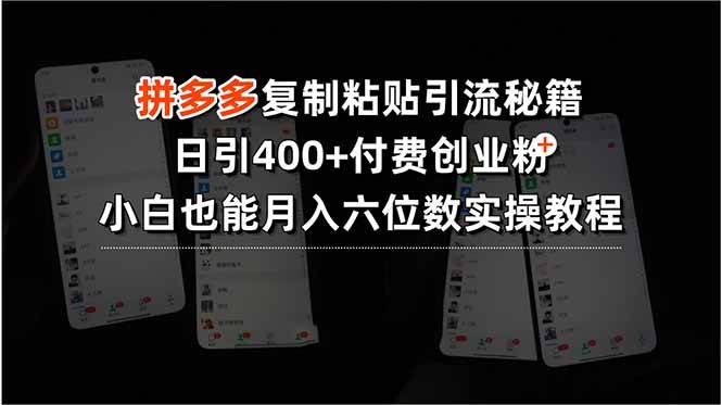拼多多复制粘贴引流秘籍，日引400+付费创业粉，小白也能月入六位数实操…-宇文网创