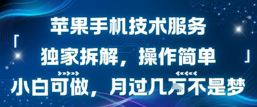 苹果手机技术服务，独家拆解，操作简单，小白可做，月过1W不是梦-宇文网创