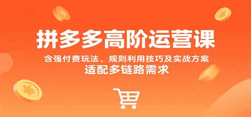 拼多多高阶运营课，含强付费玩法、规则利用技巧及实战方案，适配多链路需求-宇文网创