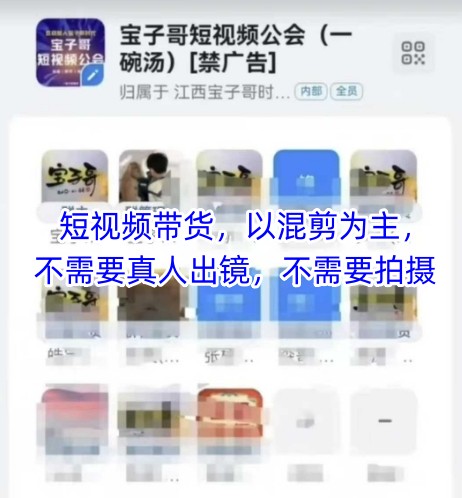 宝子哥头部团队短视频带货，以混剪为主，不需要真人出镜，不需要拍摄【更新8月】-宇文网创