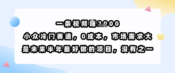 一条视频挣1k，小众冷门赛道，0成本，市场需求大，是未来半年最好做的项目，没有之一-宇文网创