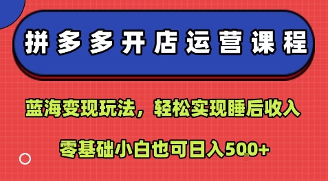 拼多多开店运营课程：蓝海变现玩法，轻松实现睡后收入，零基础小白也可日入5张-宇文网创