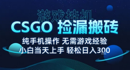 8月最新游戏搬砖，CSGO纯挂G，不需要玩游戏，实现真挂G，月入1W+【揭秘】-宇文网创