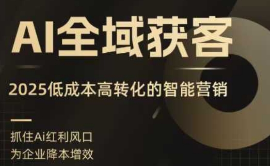 AI全域获客实训营，2025低成本高转化的智能营销，精准找客，高效营销-宇文网创