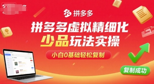 拼多多虚拟精细化少品玩法实操，小白0基础轻松复制-宇文网创