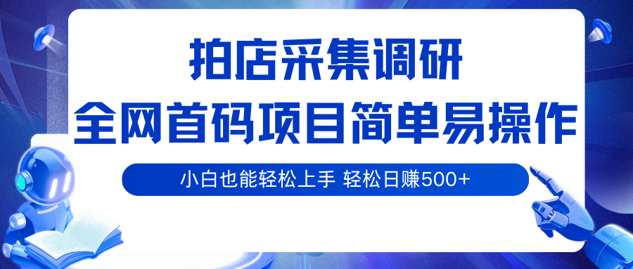拍店采集调研，全网首码项目，简单易操作， 小白也能轻松上手，轻松日赚500+-宇文网创