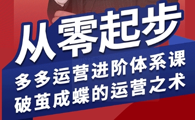 拼多多运营进阶系统课，从零起步，多多运营进阶体系课，破茧成蝶的运营之术（更新9月）-宇文网创
