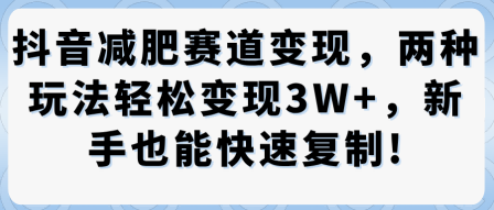 抖音减肥赛道变现，两种玩法轻松变现3W+，新手也能快速复制-宇文网创