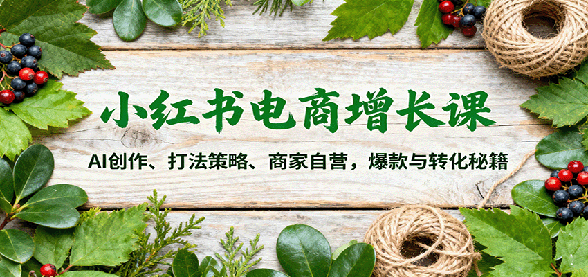 小红书电商增长课：AI创作、打法策略、商家自营，爆款与转化秘籍-宇文网创