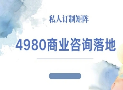 4980商业咨询师落地课程-ip运营高客单教程-宇文网创