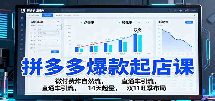 拼多多爆款起店课：微付费炸自然流，直通车引流，14天起量，双11旺季布局-宇文网创