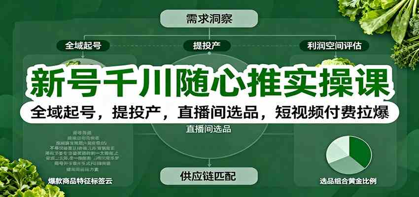 新号千川随心推实操课：全域起号，提投产，直播间选品，短视频付费拉爆-宇文网创
