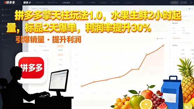 拼多多 擎天柱玩法1.0，水果生鲜2小时起量，标品2天爆单，利润率提升30%-宇文网创