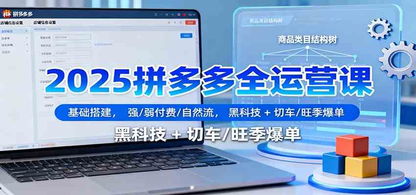 2025拼多多全运营课：基础搭建，强/弱付费/自然流，黑科技 + 切车/旺季爆单-宇文网创