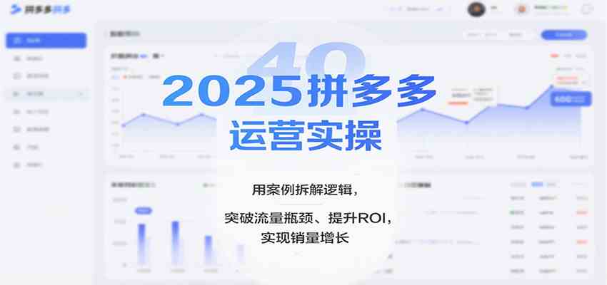 2025拼多多运营实操，用案例拆解逻辑，突破流量瓶颈、提升ROI，实现销量增长-宇文网创